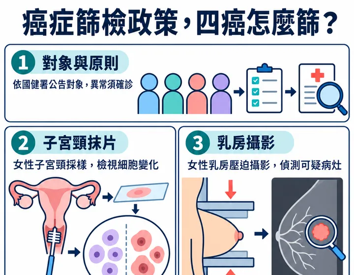 癌症篩檢政策圖解預覽