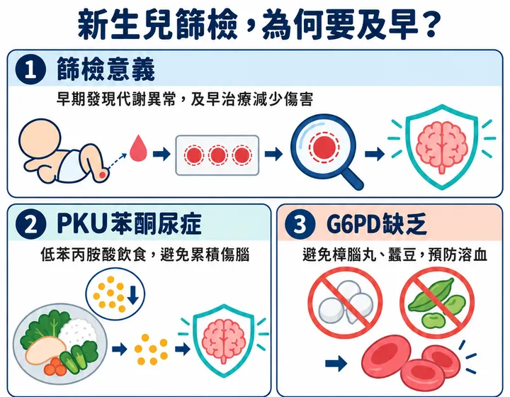 新生兒篩檢圖解預覽